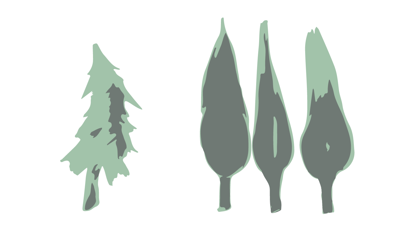 a drawing of three green trees