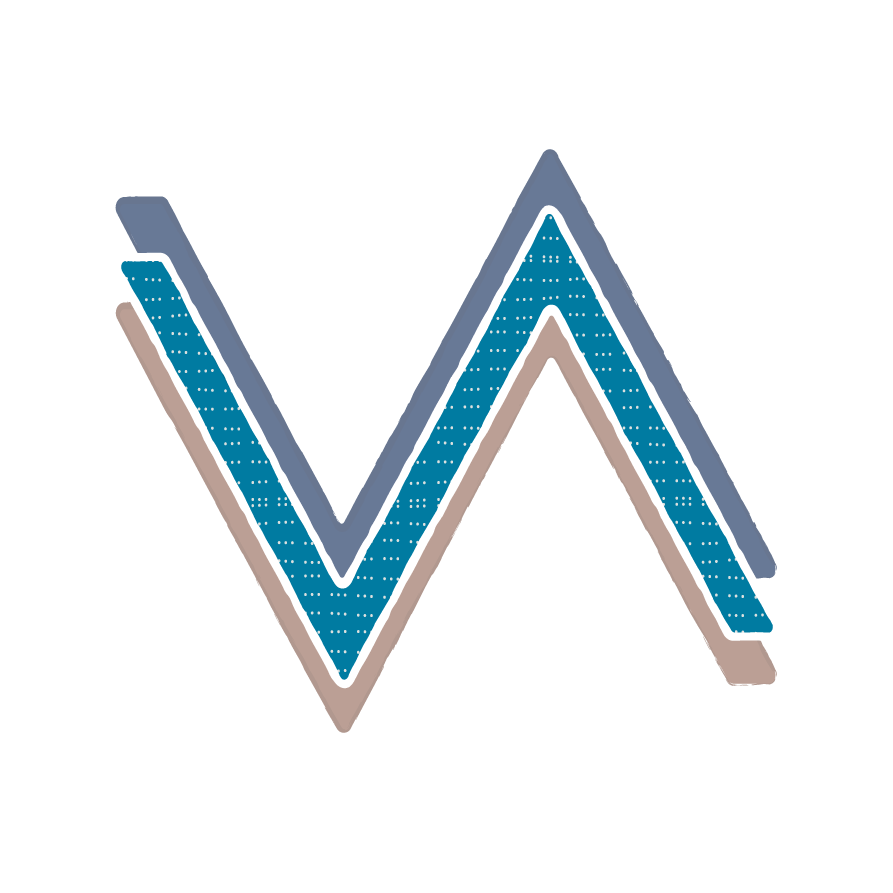 vizart logo